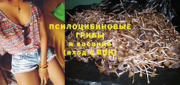 крисы Алексин