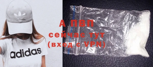 крисы Алексин